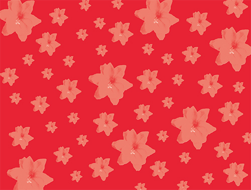 Schutblad bijzonder meisje kopie